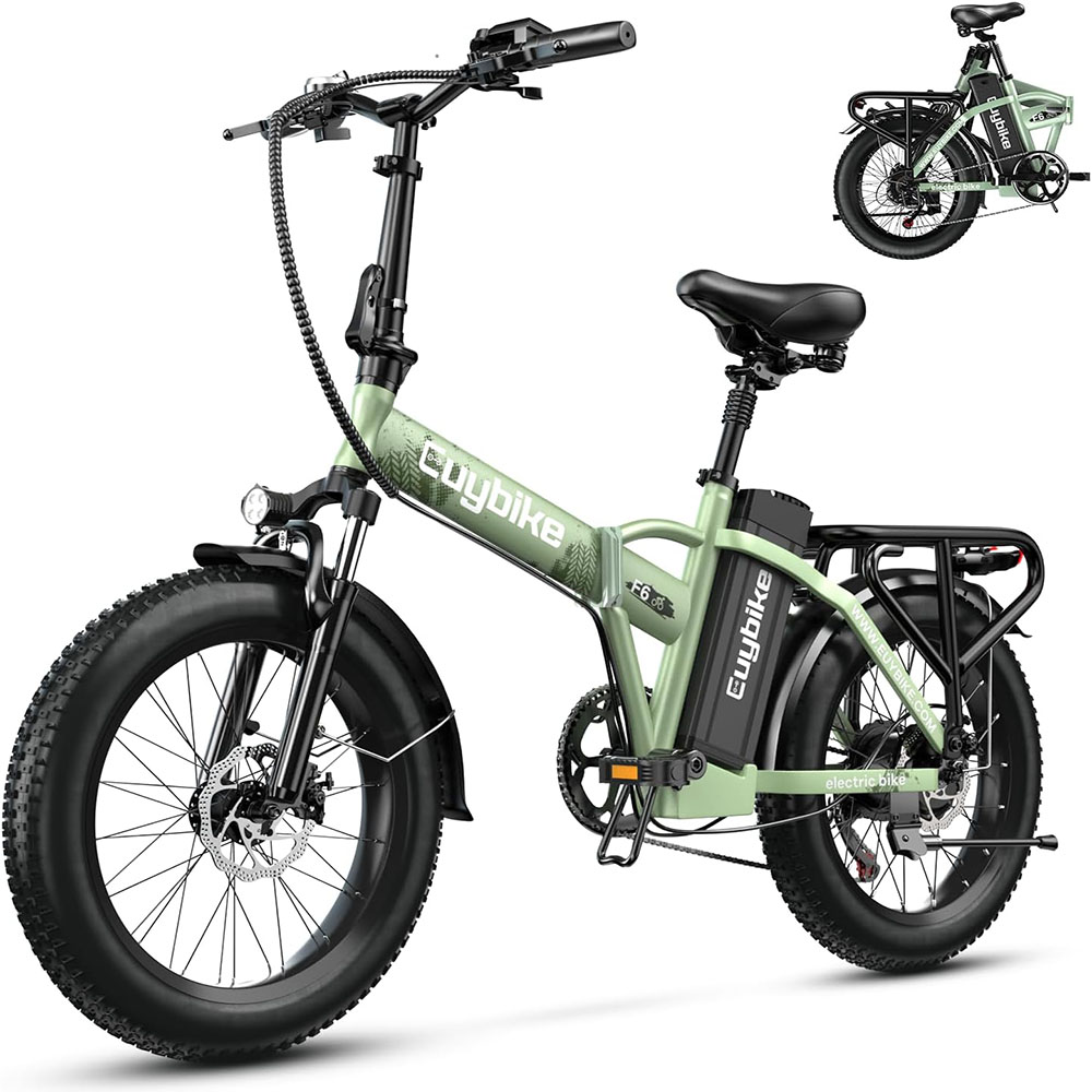 1000W, 48V 20AH Large Removable Battery E Bike